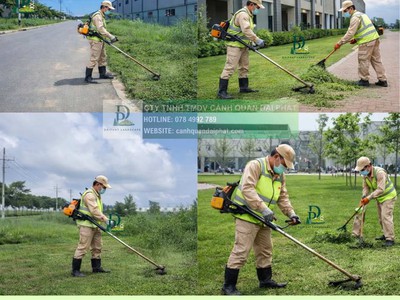 Cắt Cỏ Vệ Sinh Cảnh Quan Đồng Nai Chuyên Nghiệp 2