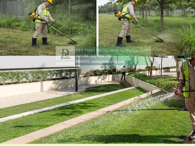 Cắt Cỏ Vệ Sinh Cảnh Quan Đồng Nai Chuyên Nghiệp 3