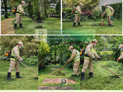 Cắt Cỏ Vệ Sinh Cảnh Quan Đồng Nai Chuyên Nghiệp 4