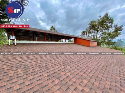 Ngói Dán Bitum   Lựa Chọn Âm Thầm Nhưng Quyết Định Chất Lượng Mái Nhà 0