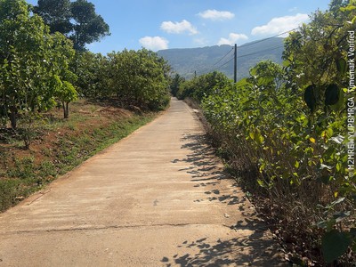 Bán Lô Đất Lớn Đồng Thanh-Lâm Hà, Lâm Đồng 0