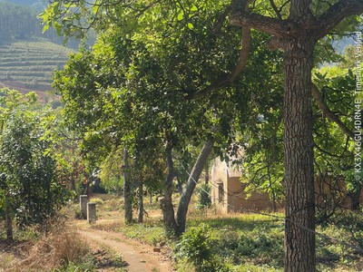 Bán Lô Đất Lớn Đồng Thanh-Lâm Hà, Lâm Đồng 1