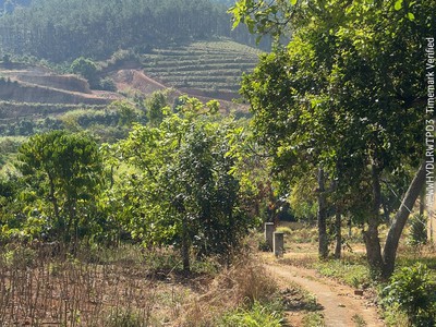 Bán Lô Đất Lớn Đồng Thanh-Lâm Hà, Lâm Đồng 2