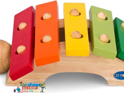 Mẫu hàng mới đồ chơi trí tuệ gỗ ảnh thật chuyển miễn phí trả tiền cho người giao hàng 5