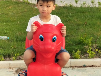 Thú nhún lò xo, người ngồi lên được loại to đại  nhún nhảy điệu nghệ hơn 200 mẫu 11