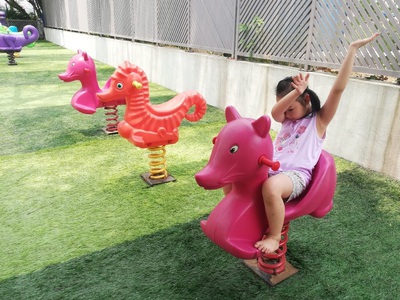 Thú nhún lò xo, người ngồi lên được loại to đại  nhún nhảy điệu nghệ hơn 200 mẫu 5