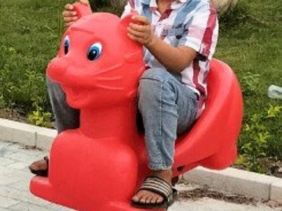 Thú nhún lò xo, người ngồi lên được loại to đại  nhún nhảy điệu nghệ hơn 200 mẫu 6