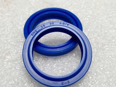 Phốt chắn bụi tại Duy Lập Đồng Nai 1