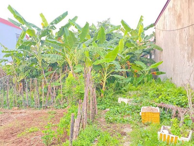 2,x tỷ  lô đất giá tốt hiếm tại tân thành   ngõ 5m ô tô vào tận nơi, quỹ đất đẹp dương kinh  zalo 2