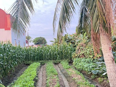 2,x tỷ  lô đất giá tốt hiếm tại tân thành   ngõ 5m ô tô vào tận nơi, quỹ đất đẹp dương kinh  zalo 3