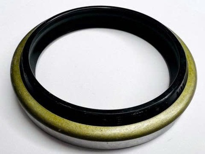 Phốt chắn bụi tại Duy Lập Đồng Nai 3