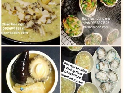 Cần bán bào ngư quảng ninh giá tốt 0