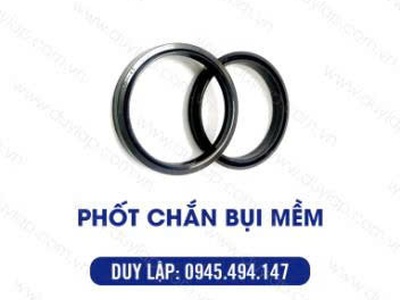 Phốt chắn bụi tại Duy Lập Đồng Nai 8