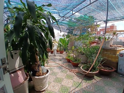 Bán nhà 3 tầng đường trần thị điệu, phường  phước long b, q9, thủ đức, tp hcm. dt - 95m2, 3 tầng. 4