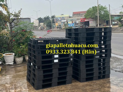  Bán Pallet Nhựa Giá Rẻ Tại Bình Thuận   Giao Hàng Nhanh  0