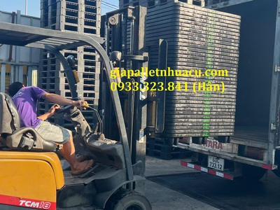  Bán Pallet Nhựa Giá Rẻ Tại Bình Thuận   Giao Hàng Nhanh  1
