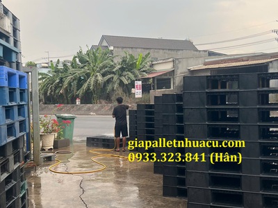  Bán Pallet Nhựa Giá Rẻ Tại Bình Thuận   Giao Hàng Nhanh  2