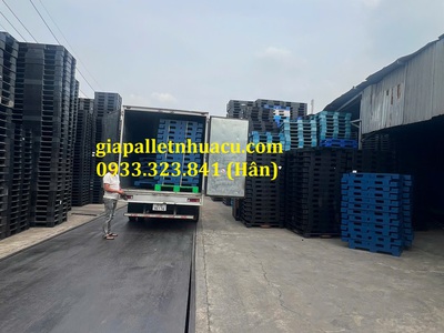  Bán Pallet Nhựa Giá Rẻ Tại Bình Thuận   Giao Hàng Nhanh  4