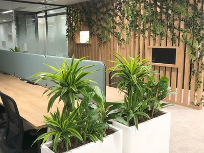 Bán sàn văn phòng 43m    lộc ninh singashine 1