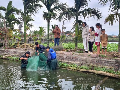 Lưới kéo cá nguyễn út -  gia công theo yêu cầu 3