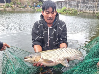 Lưới kéo cá nguyễn út -  gia công theo yêu cầu 4