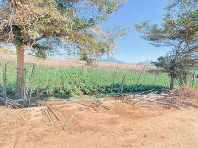 Bán 4 lô đất hẻm tổ 33, thông 2 đầu, đức trọng, lâm đồng 1