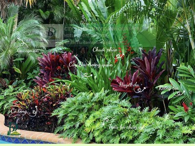 Thiết kế thi công cảnh quan sân vườn mới nhất 2026 3