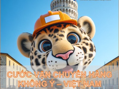 Giá Cước Vận Chuyển Hàng Không Ý - Việt Nam 0