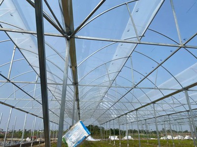 Hữu Cơ Thời Nay: Không Có Politiv   Khó Đi Đường Dài 3