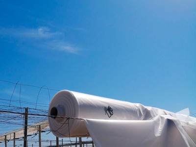 Hữu Cơ Thời Nay: Không Có Politiv   Khó Đi Đường Dài 5