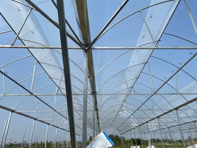 Hữu Cơ Thời Nay: Không Có Politiv   Khó Đi Đường Dài 6