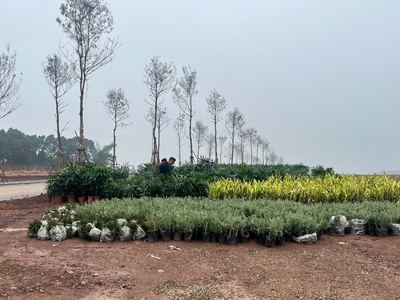 Utopia villas resort: thiên đường nghỉ dưỡng chuẩn nhật đầu tiên tại Hòa Bình 1