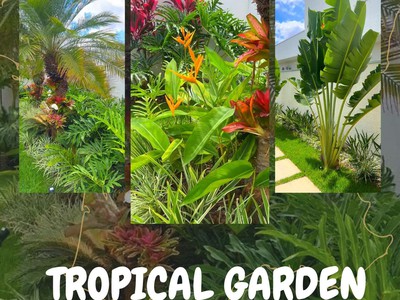 Thiết Kế Thi Công Cảnh Quan Sân Vườn Nhiệt Đới 2026 0