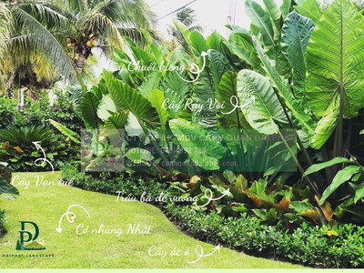 Thiết Kế Thi Công Cảnh Quan Sân Vườn Nhiệt Đới 2026 1