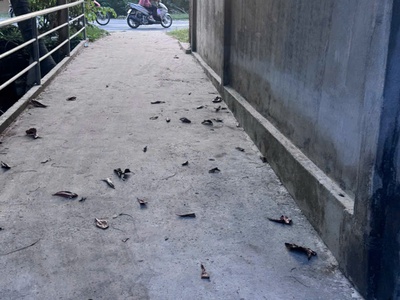 Đất nền sạch 0