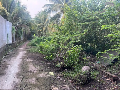 Đất nền sạch 3