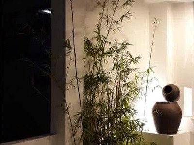 Đề thám - p. cầu ông lãnh- đẹp 4 tầng -  2pn lớn 4wc - trang bị đầy đủ hệ thống camera, loa âm trần 3