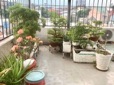 Bán nhà hẻm 8m phạm văn hai, phường 3 tân bình 5 17 chợ pvh 3