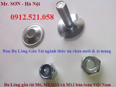 Bu lông gàu tải M14,M12,M10,M8,M6 hà nội 0913521058 SƠN Mr có bu lông mạ kẽm, bu lông 8.8, Inox 304 1