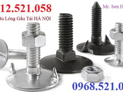 Bu lông gàu tải M14,M12,M10,M8,M6 hà nội 0913521058 SƠN Mr có bu lông mạ kẽm, bu lông 8.8, Inox 304 5