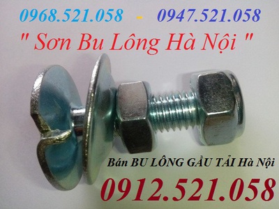 Bu lông gàu tải M14,M12,M10,M8,M6 hà nội 0913521058 SƠN Mr có bu lông mạ kẽm, bu lông 8.8, Inox 304 9