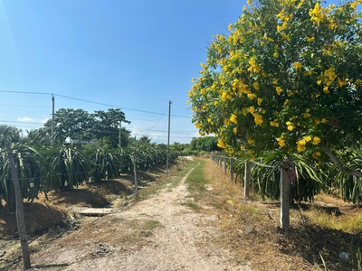 Bán 8.2 sào đất tân tiến - lagi gần biển chỉ 2.4 tỷ có 60m2 ont đường ô tô 4