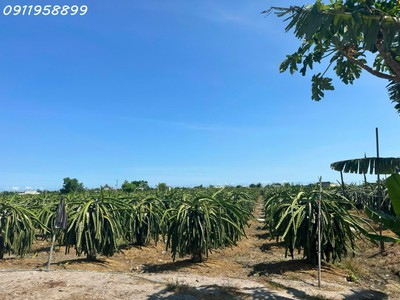 Bán 8.2 sào đất tân tiến - lagi gần biển chỉ 2.4 tỷ có 60m2 ont đường ô tô 3