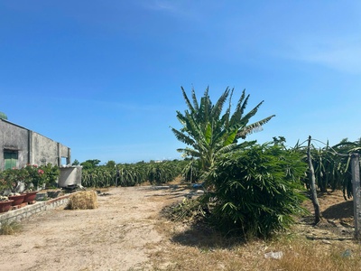 Bán 8.2 sào đất tân tiến - lagi gần biển chỉ 2.4 tỷ có 60m2 ont đường ô tô 0