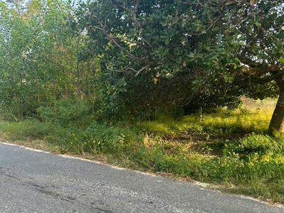 Bán 10m x 70m đất thổ cư đường cù chính lan, lagi giá ngộp 160tr/m ngang 2