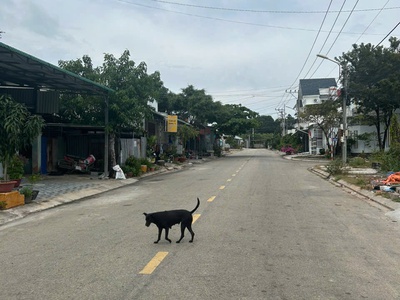 Bán nhà 7m x 14.6m đường âu cơ, lagi giá rẻ 2.8 tỷ kdc nguyễn thái học 4