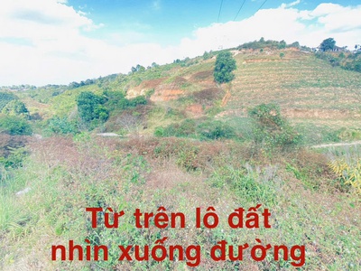 1 lô đất thuộc xã ninh gia, đức trọng cũ, lâm đồng, sau bách hóa xanh đi vào 2