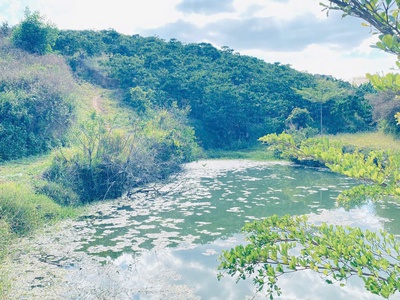 1 lô đất thuộc xã ninh gia, đức trọng cũ, lâm đồng, sau bách hóa xanh đi vào 3