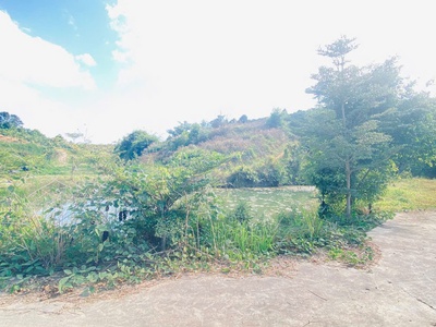 1 lô đất thuộc xã ninh gia, đức trọng cũ, lâm đồng, sau bách hóa xanh đi vào 4