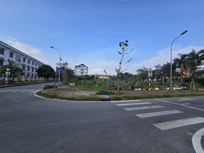 Đất TMDV Khu An Phú - TP Hải Dương 2